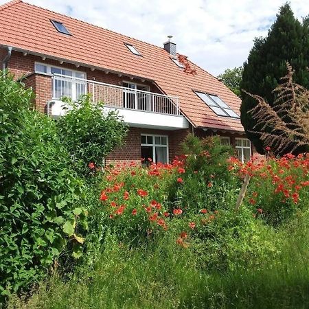 Appartement Ruhige Fewo Im Gruenen Mit Balkon, Terrasse Und Grossem Garten à Sehlen Extérieur photo