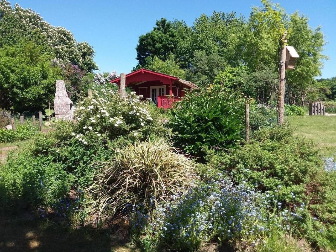 Appartement Ruhige Fewo Im Gruenen Mit Balkon, Terrasse Und Grossem Garten à Sehlen Extérieur photo